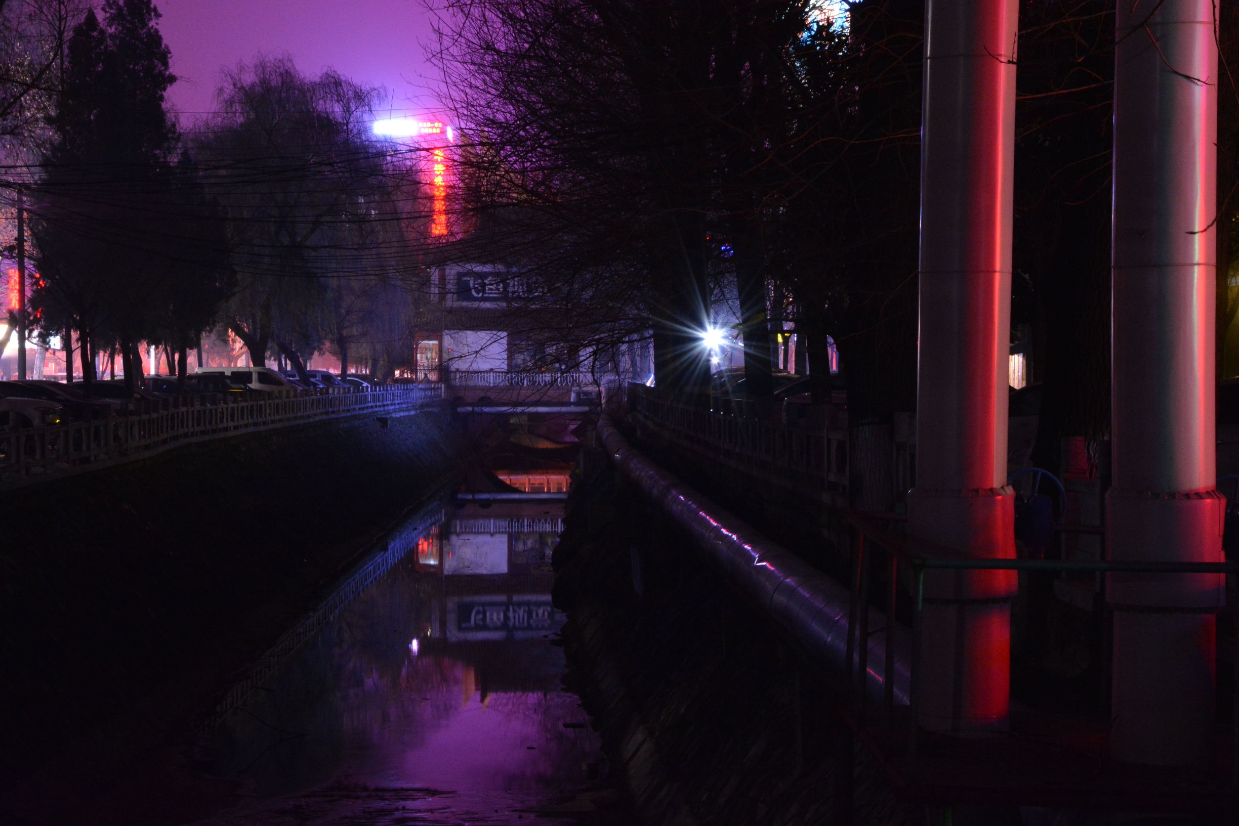 尼康D5200扫街，狗头基本够用