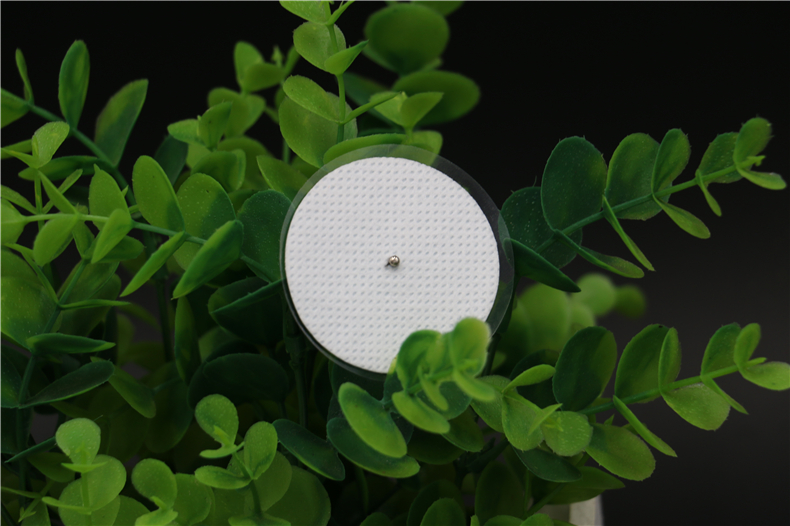 口袋里的理疗师,口袋里的私人理疗师