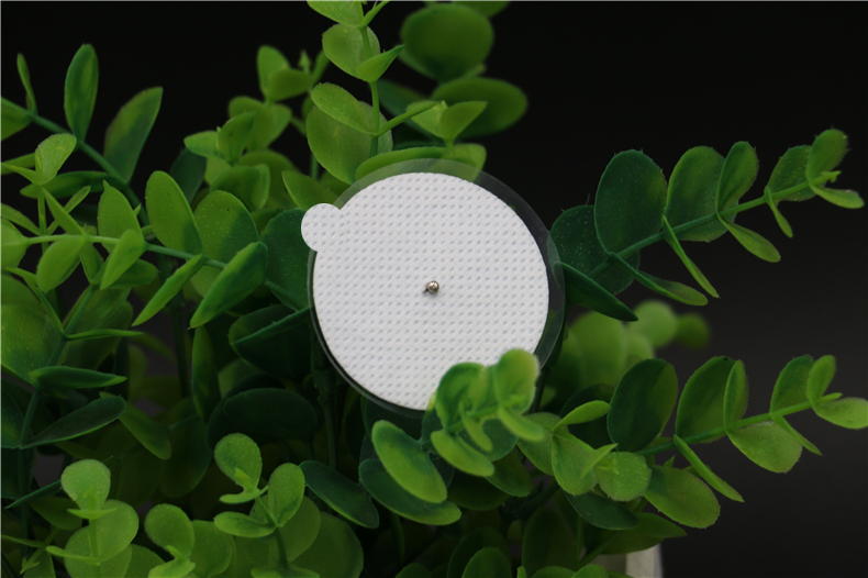 口袋里的理疗师,口袋里的私人理疗师