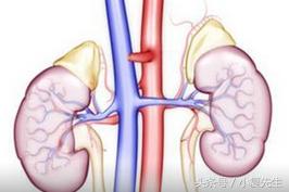 尿毒症恶心呕吐是什么原因,尿毒症恶心呕吐中药治疗