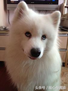 我的第一次就这么没了