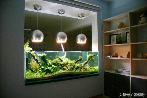 鱼缸禁忌摆放位置图,鱼缸的摆放位置禁忌要注意什么
