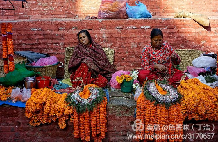 探秘尼泊尔牧羊人,探秘尼泊尔国家森林公园