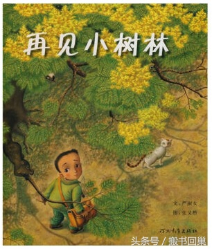 一场弥漫三天的雾霾凯迪克银奖绘本《雾里捉迷藏》