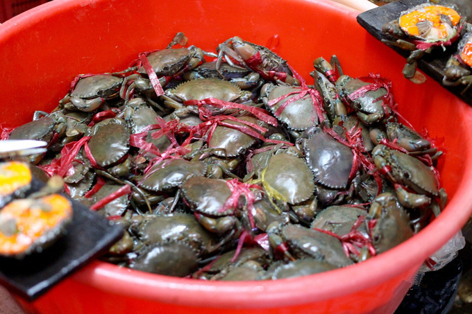 三亚樱花蟹,红花蟹和乐蟹