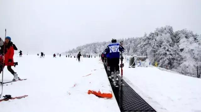 成都周边看雪滑雪的地方 (成都周边滑雪泡温泉好去处)
