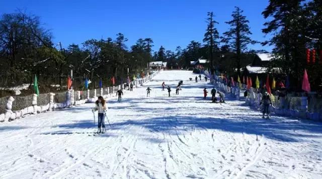 成都周边看雪滑雪的地方 (成都周边滑雪泡温泉好去处)