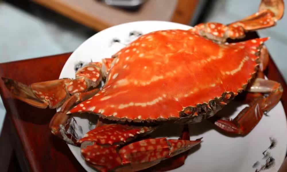 秦皇岛是一个怎么样的城市,秦皇岛是个怎么样的城市呢