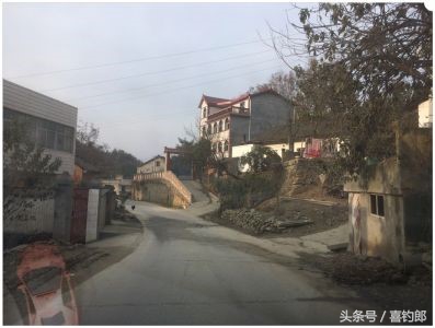 黑龙鲫短节手竿,黑龙鱼竿