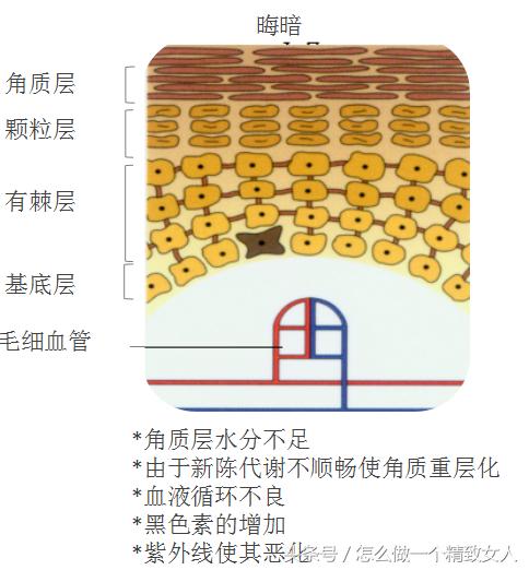 教你快速改善皮肤暗黄！