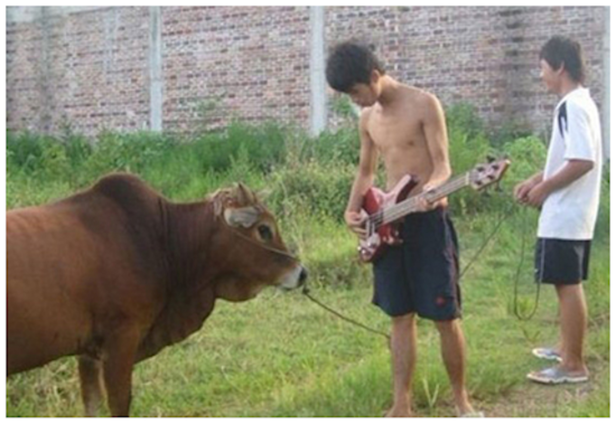 强光手电对付后车远光灯,小圆镜贴车尾对付远光狗效果如何