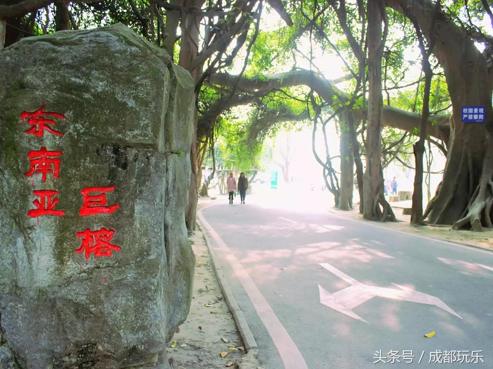 带你逛成都的名胜古迹,带你逛成都的街