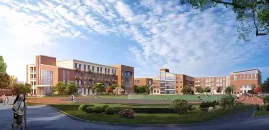 看完振奋，下应东南片区教育配套大爆发！