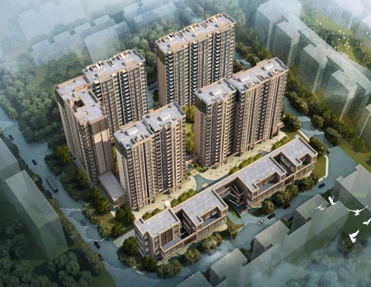 城西记|再造双楠,它真的是众望所归?