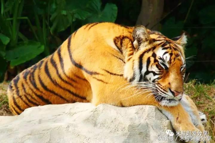 广州亲子游5天自由行不累,适合带宝宝去的亲子游