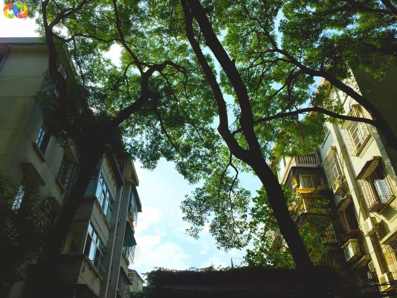 你愿意陪我走过春夏秋冬,你愿意陪我走一条很长的路吗中文