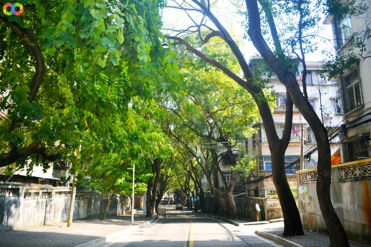 你愿意陪我走过春夏秋冬,你愿意陪我走一条很长的路吗中文