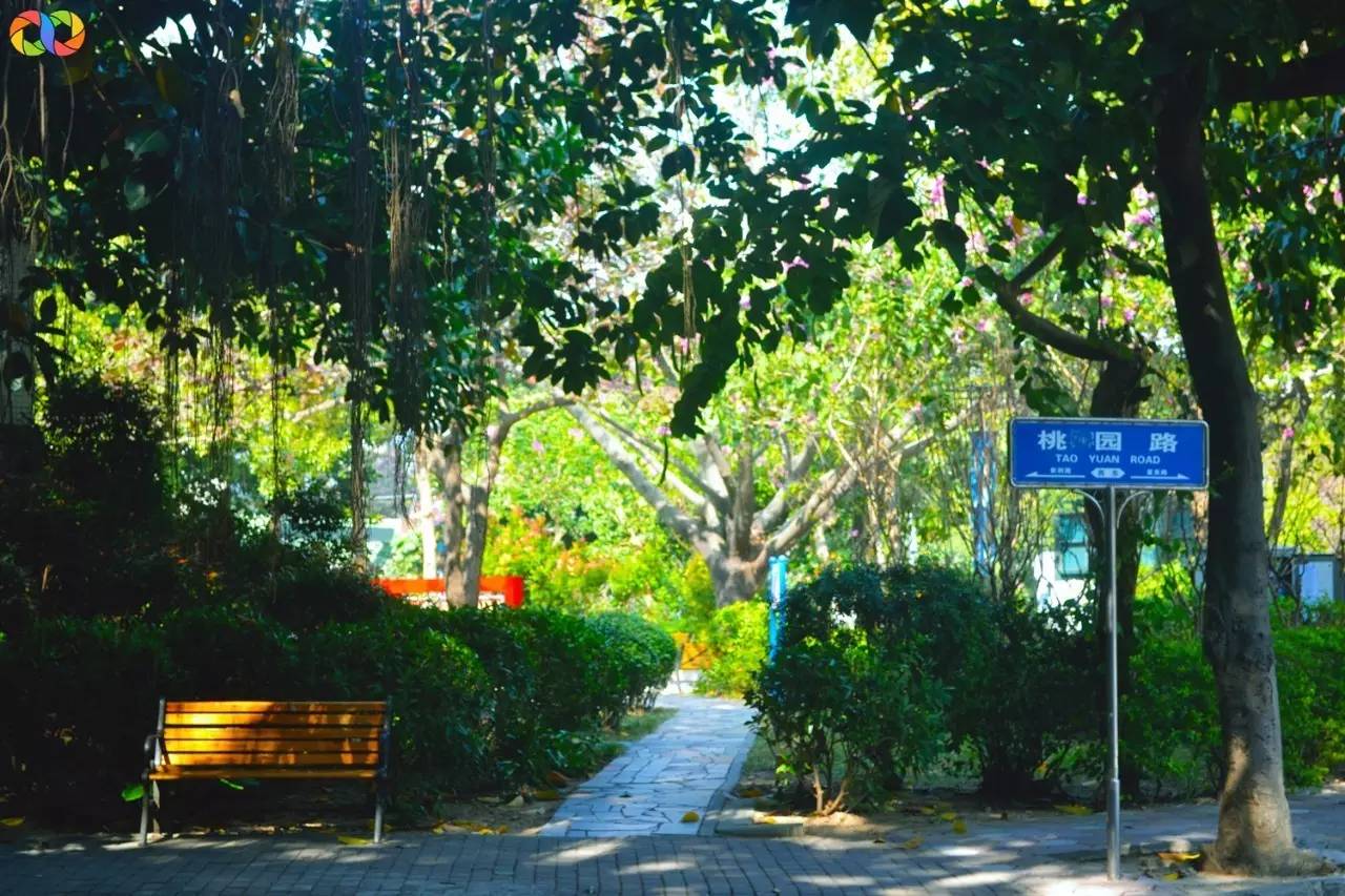 你愿意陪我走过春夏秋冬,你愿意陪我走一条很长的路吗中文