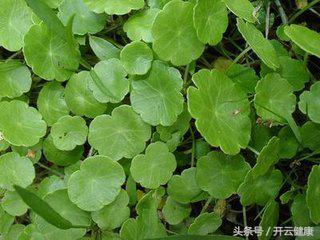 消“痔疮”，武医刘合斌教你“三招”！