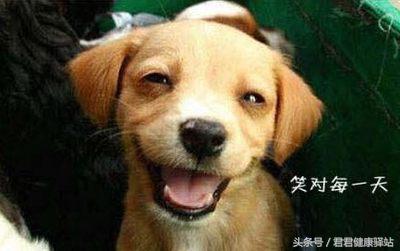 经常生气的十种病,经常生气的8种疾病