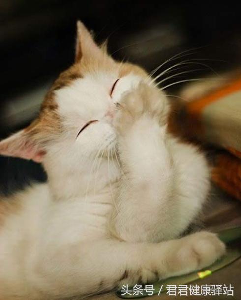 经常生气的十种病,经常生气的8种疾病