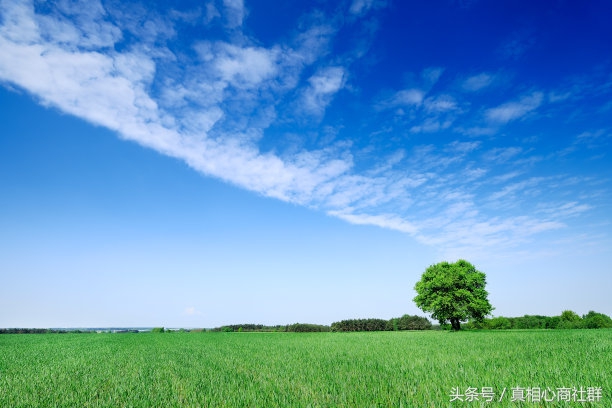 专注学习和深度思考,高效学习的本质是专注和坚持