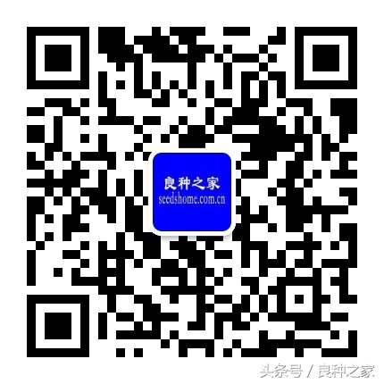 餐桌上常见的本土作物是什么,10种常见的粮食作物