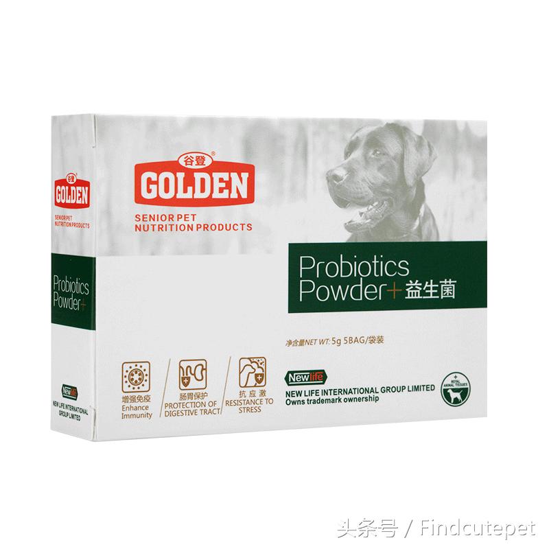 养狗需要准备什么药物,养狗必备3种常用药物图片