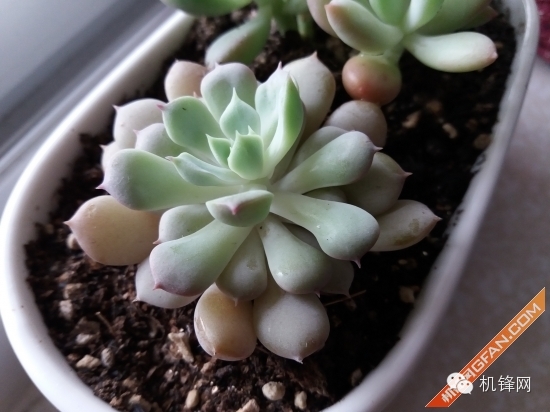 三星galaxya9怎么样,三星a9评测