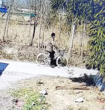 父亲您在哪儿信阳八旬老人走失,江苏5岁男孩意外走失25年后回到家