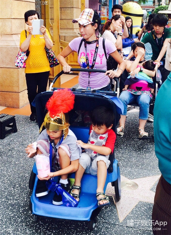 隆鼻张柏芝鼻型,浪姐张柏芝新消息