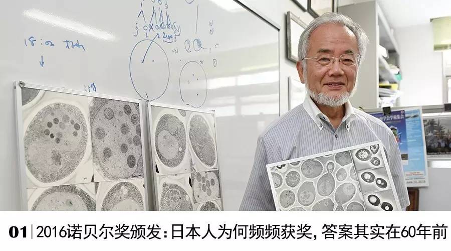 我们想从科学研究里找到的答案｜编者的话