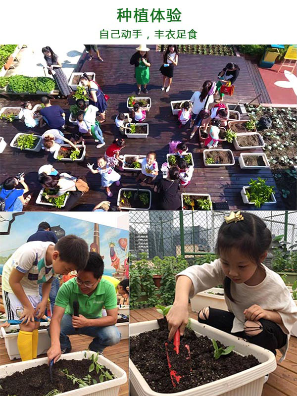 拥抱屋顶，让我们做一场离天空很近的梦