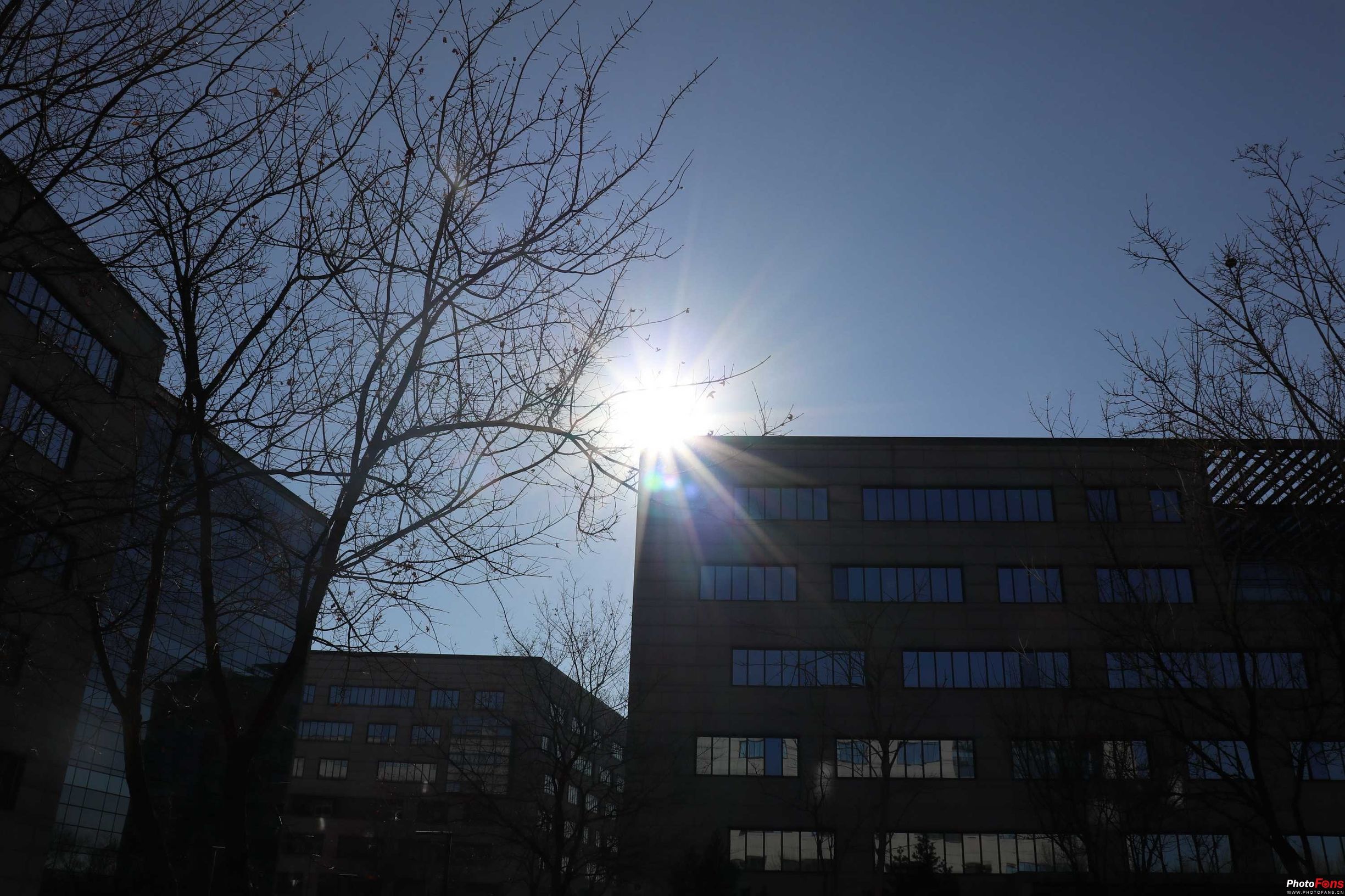 无反大变焦18-150mmf/3.5-6.3镜头评测