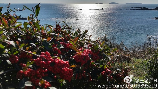 青岛的冬天来临之前,青岛的冬天多么美