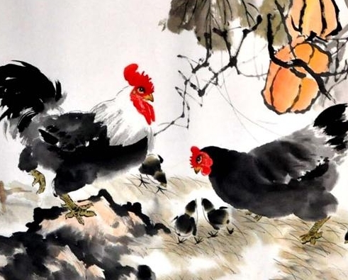 2017鸡宝宝什么时辰出生好,2017年农历几月出生的鸡宝宝最好