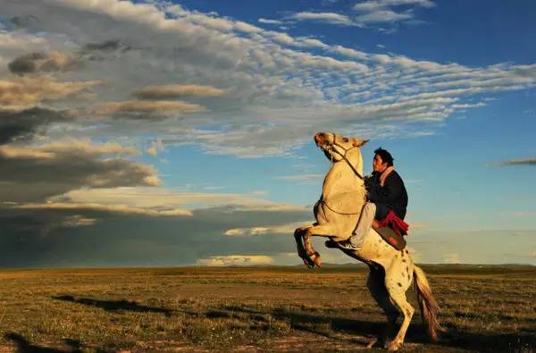 朋友圈现新网红“浮云牧场”四川藏区世界级资源正在起飞