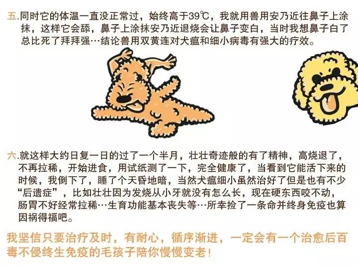 无证的兽医可以看病吗,无证兽医需要承担什么责任