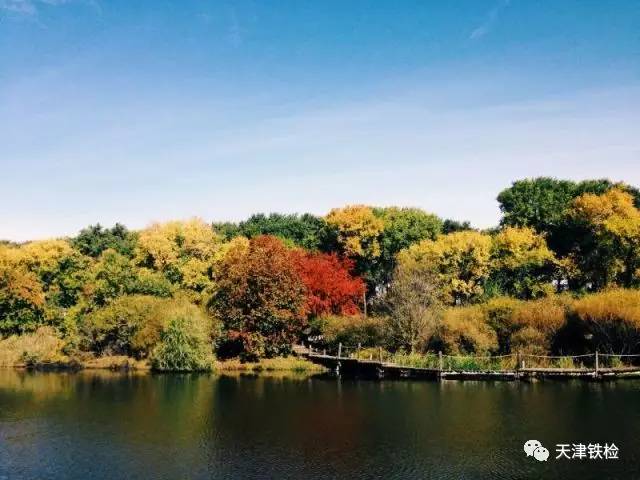 鍜岃皭鑷劧鎽勫奖浣滃搧娆h祻,鍜岃皭鑷劧鎽勫奖浣滃搧