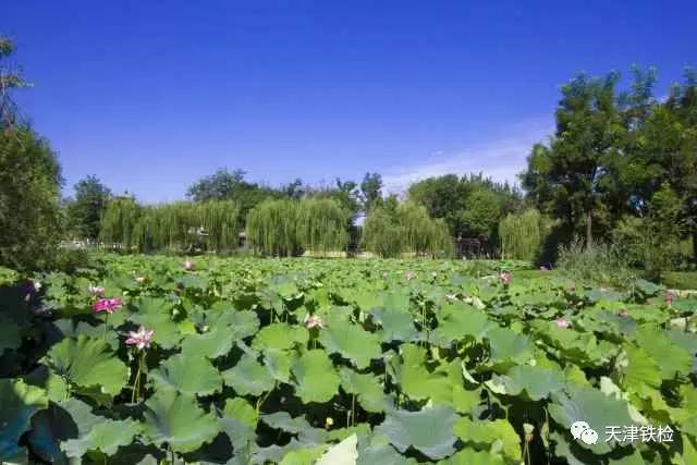 鍜岃皭鑷劧鎽勫奖浣滃搧娆h祻,鍜岃皭鑷劧鎽勫奖浣滃搧