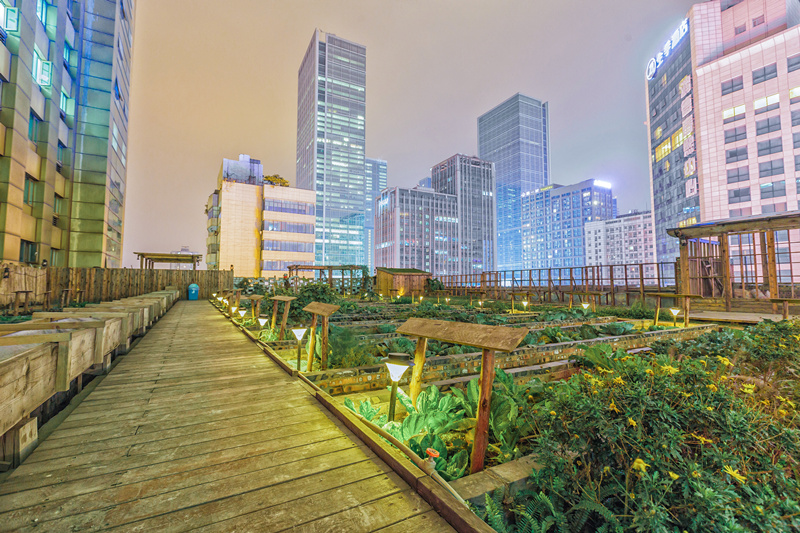 拥抱屋顶，让我们做一场离天空很近的梦