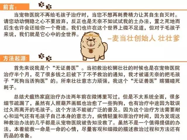 无证的兽医可以看病吗,无证兽医需要承担什么责任