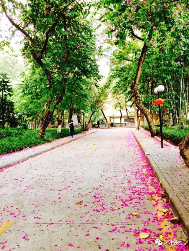 鍜岃皭鑷劧鎽勫奖浣滃搧娆h祻,鍜岃皭鑷劧鎽勫奖浣滃搧