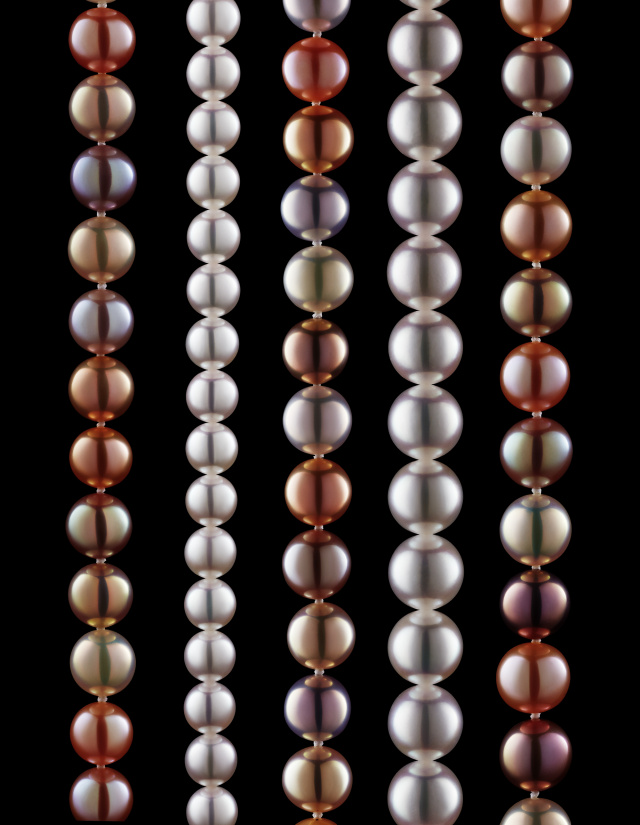 蓝色大海美人鱼珍珠,蓝色大海里面的珍珠