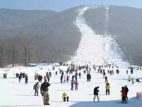 自由行去哪个滑雪场方便,松花湖滑雪一日游最佳攻略