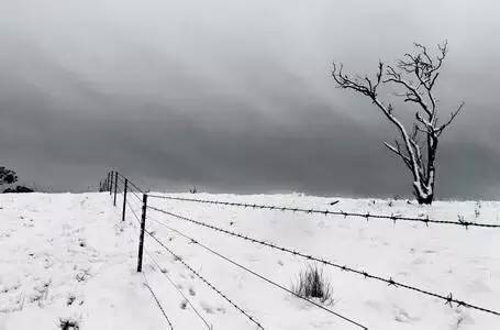 低温起作用的肥料,低温雨雪冷冻天气对农业的影响