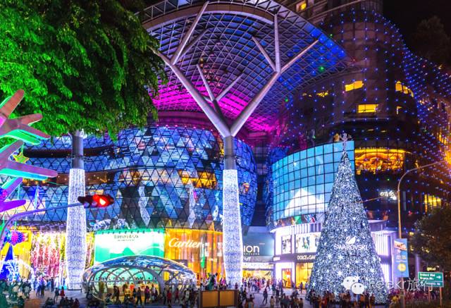 这几个国家太诱惑,直飞、免签、路边就能吃到米其林、国家公园免费一整年,是时候策划一场明年的旅行了!