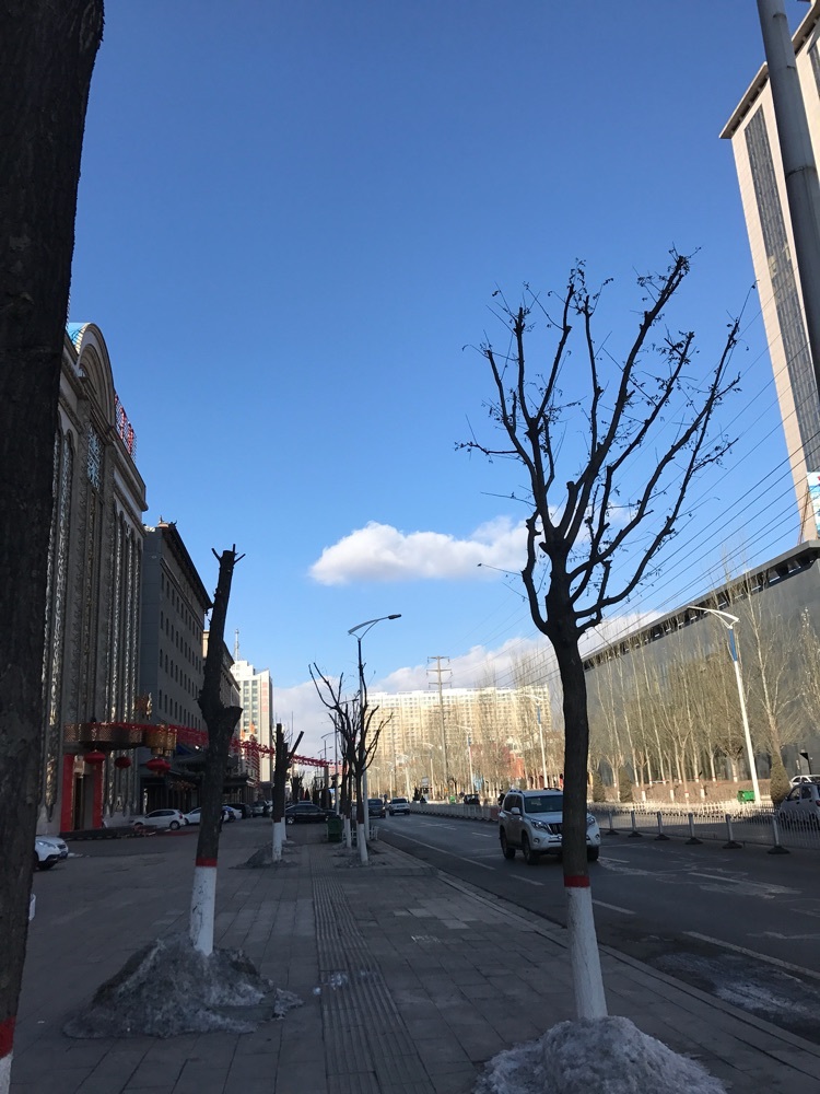 干燥的北方冬天能用的面霜,老年皮肤干燥用什么面霜好