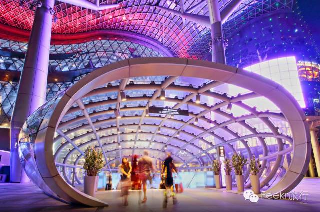 这几个国家太诱惑,直飞、免签、路边就能吃到米其林、国家公园免费一整年,是时候策划一场明年的旅行了!