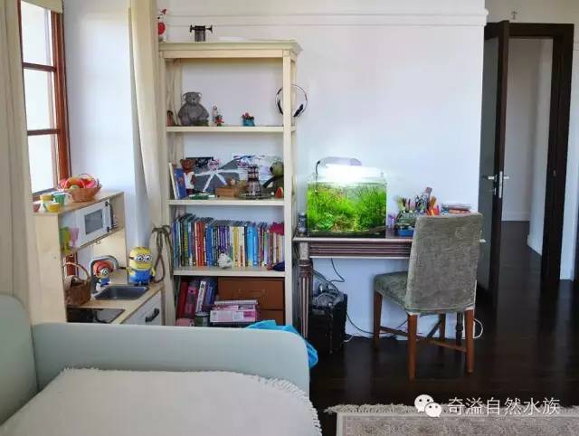 鱼缸摆放位置与属相,鱼缸的摆放位置以及风水影响